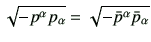 $\displaystyle \sqrt{ -p^\alpha p_\alpha}
=
\sqrt{ -\bar{p}^\alpha \bar{p}_\alpha}
$