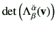 $\displaystyle \det\left(\Lambda_{\beta}^{\bar{\alpha}}(\vv)\right)$