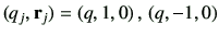 $\displaystyle (q_j,\vr_j)=\left(q,1,0\right),\,\left(q,-1,0\right)
$