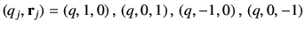 $\displaystyle (q_j,\vr_j)=\left(q,1,0\right),\,\left(q,0,1\right),\,\left(q,-1,0\right),\,\left(q,0,-1\right)
$