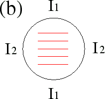 \includegraphics[height=4.5truecm,scale=1.1]{li.eps}