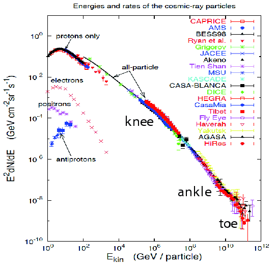 \includegraphics[width=12.00truecm,scale=1.1]{knee_ankle.eps}